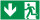 SR43 Rettungszeichen "Rettungsweg abwärts" Aluverbund nachl.150x300 mm