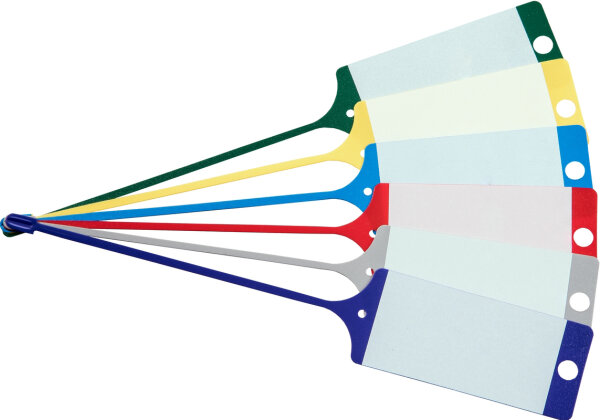 Schlüsselanhänger "Fix" mit neutralem Beschriftungsfeld grün